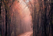 虎扑体育官网：竞者｜神似钟楚曦的冰壶女神跨界成MVP，原来冰壶也能掷进我的心里.