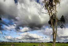 虎扑体育官网：中国新闻周刊：国足 被“抬进”世界杯？.