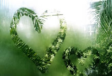 凯恩的联赛冠军又悬了？阿方索戴维斯刚续约就赛季报销!拜仁吃亏.