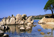 欧冠：意大利国际米兰队战胜英格兰阿申纳.